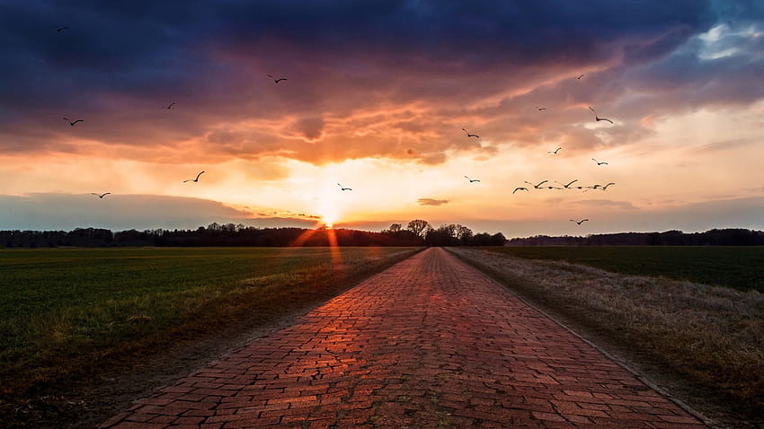 Небе: Cobblestone Paris Roubaix Road Sunset Fields Birds Cobblestones, paris залез HD тапет