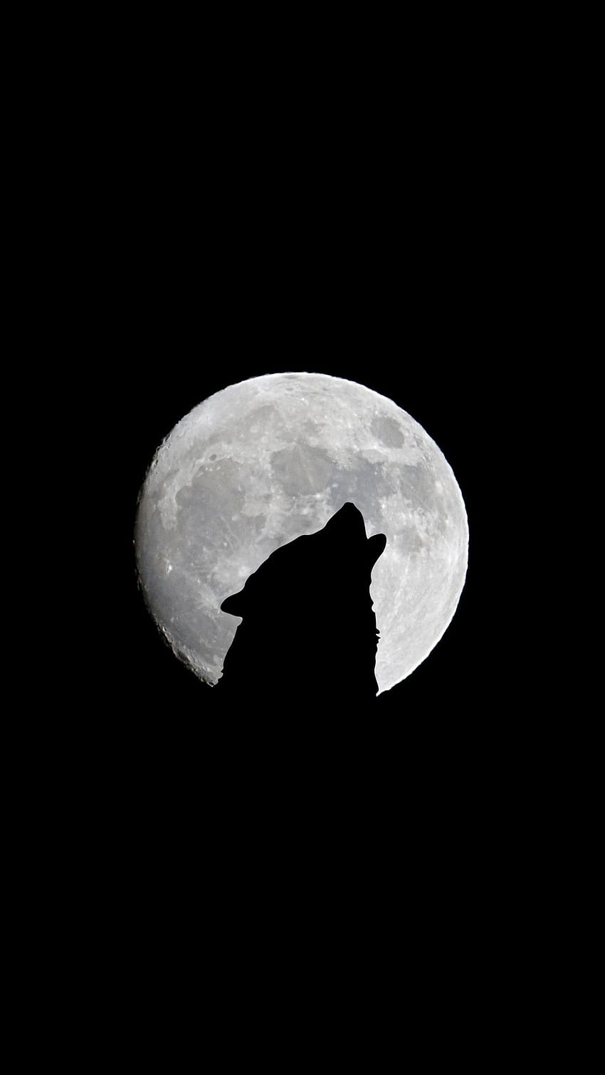 Iphone Moon Wolf, serigala bulan minimalis wallpaper ponsel HD