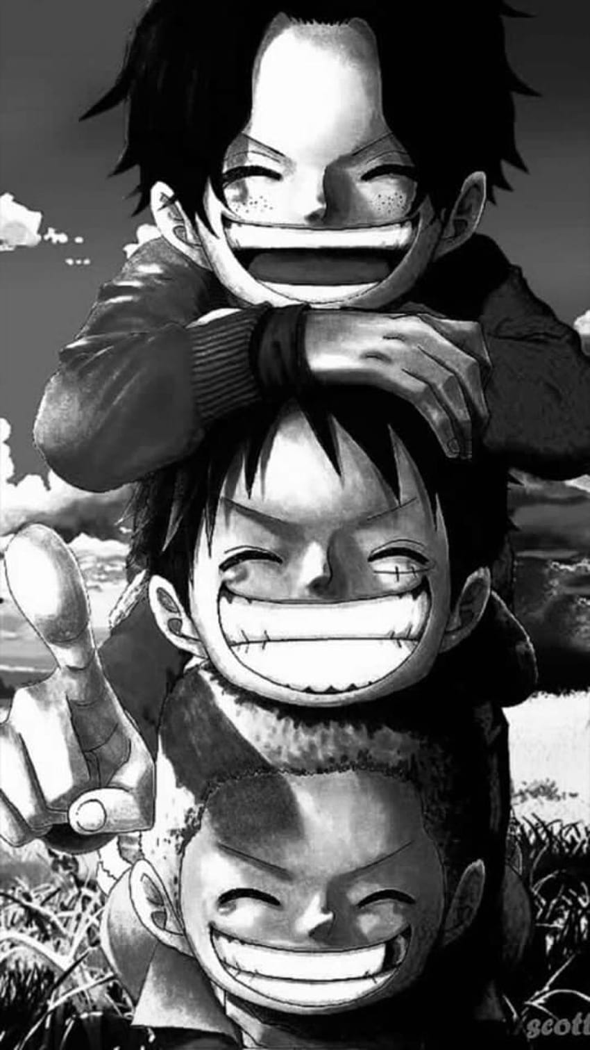 971 Luffy Child Wallpaper Hd Images & Pictures - MyWeb