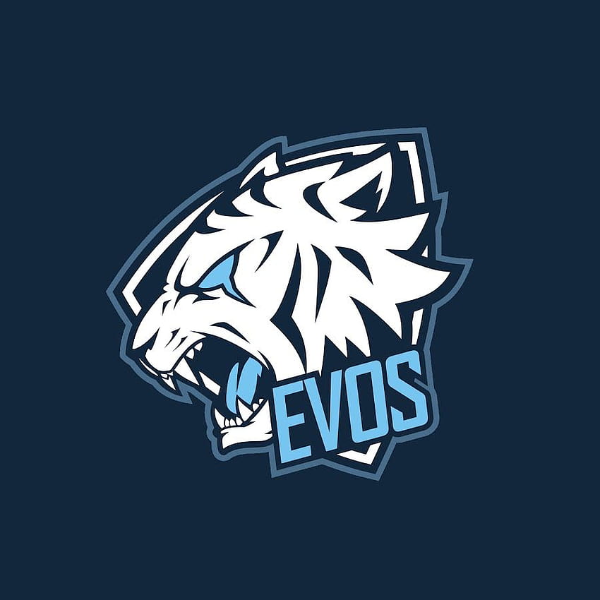 Official Youtube channel of Indonesia's first investor funded Dota 2 Team! Join us on our, evos esport HD phone wallpaper