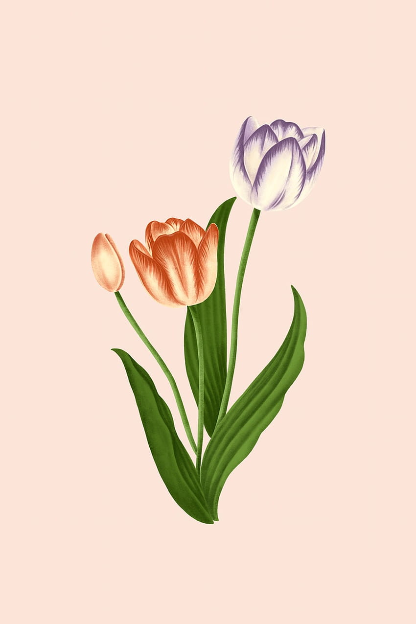 Винтидж мобилен телефон с цветя на лале, изкуство на пролетно лале HD тапет за телефон