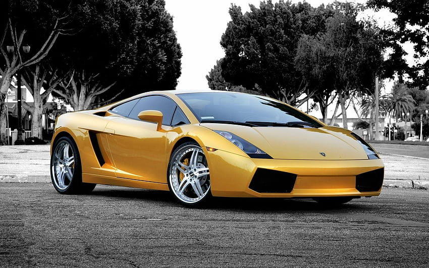 Lamborghini Gallardo, yellow lamborghini murcielago HD wallpaper | Pxfuel
