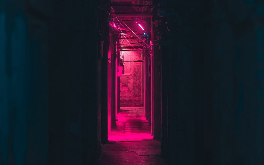 2560x1600 corridor, neon, dark, pink, light, neon pink HD wallpaper