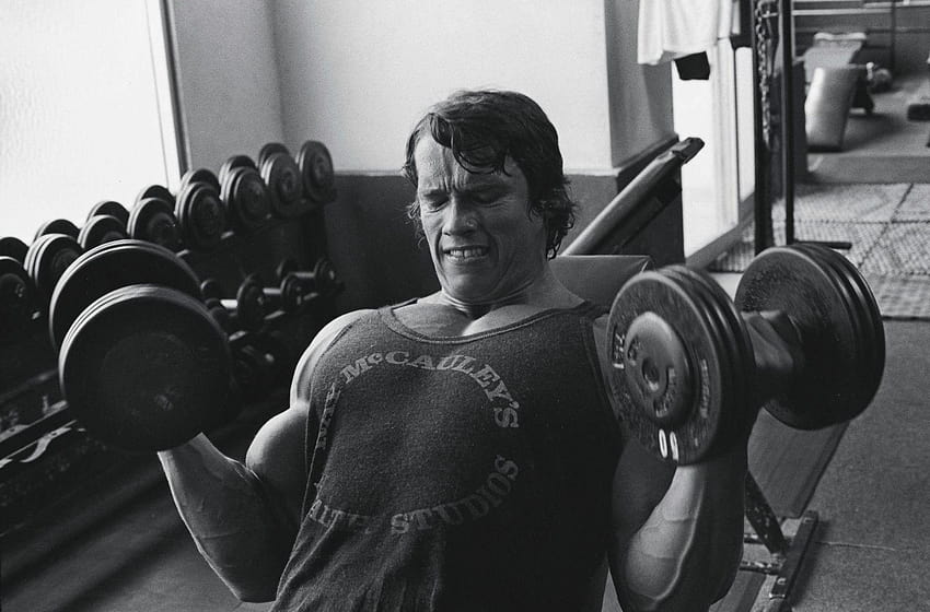 Arnold Bodybuilding Conquer, musculation HD wallpaper