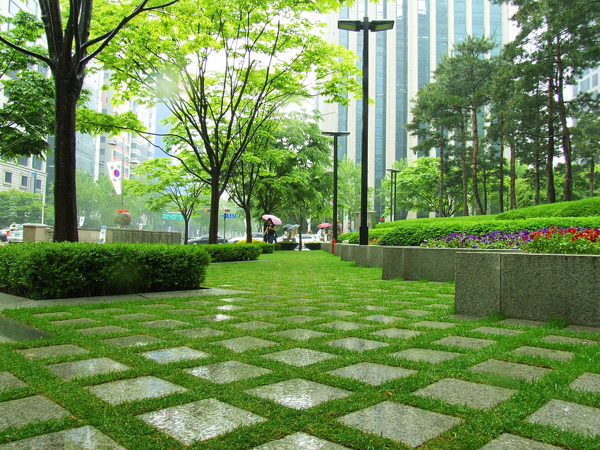 Stadtlandschaften Gras Seoul Parks Hecken Südkorea Gehwegfliesen 3488x2616 Hohe Qualität, High Definition, Korea Parks HD-Hintergrundbild