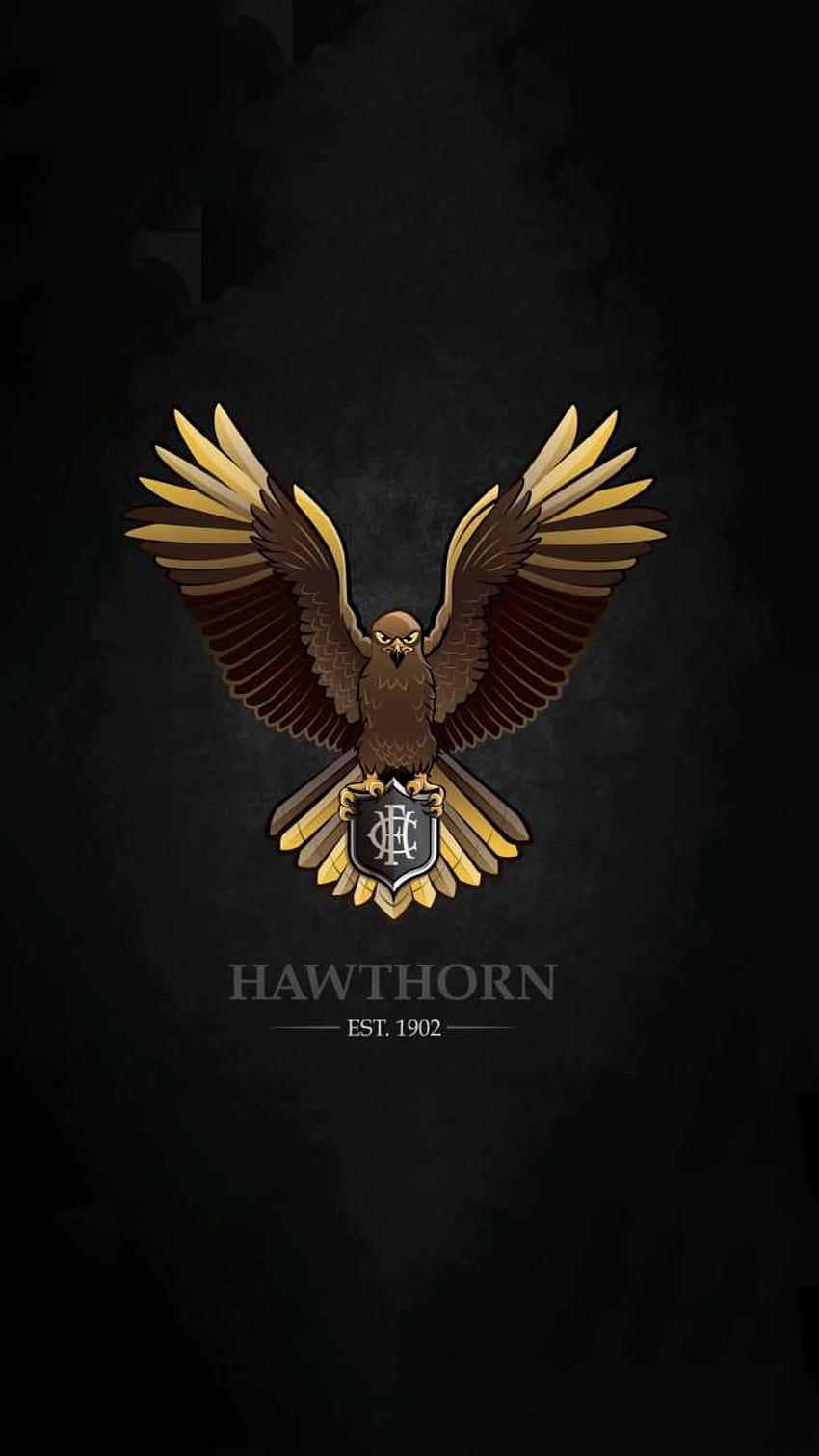 Hawthorn Hawks HD phone wallpaper