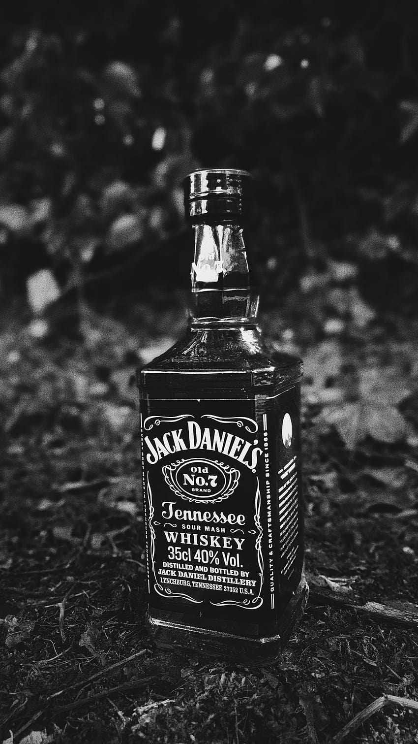 50 Jack Daniels [], jack daniels logo HD phone wallpaper