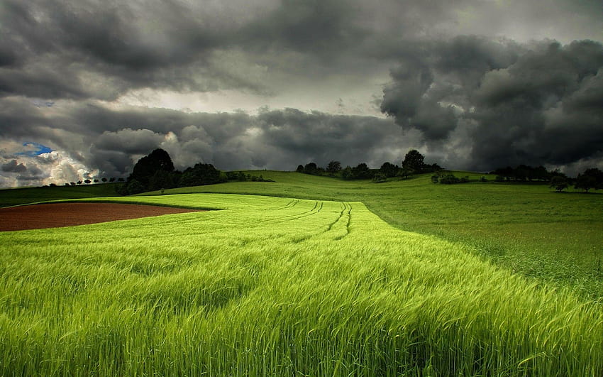 Live Thunderstorm , summer storm HD wallpaper