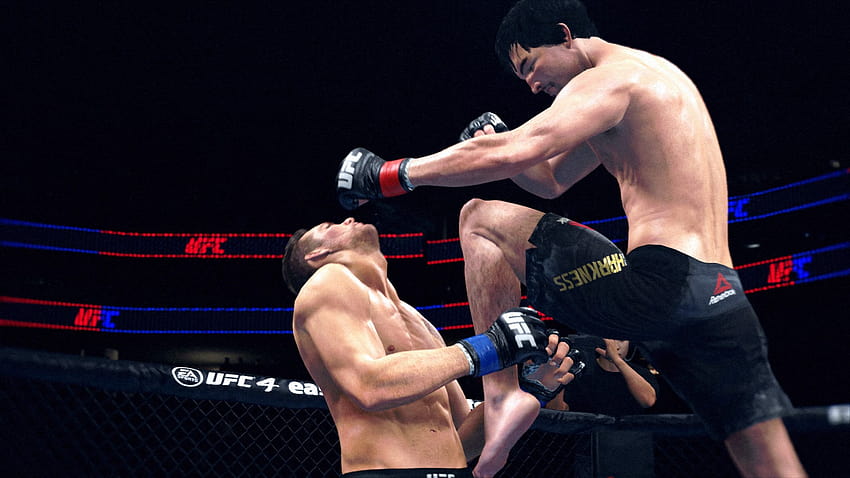 EA Sports UFC 4 HD wallpaper