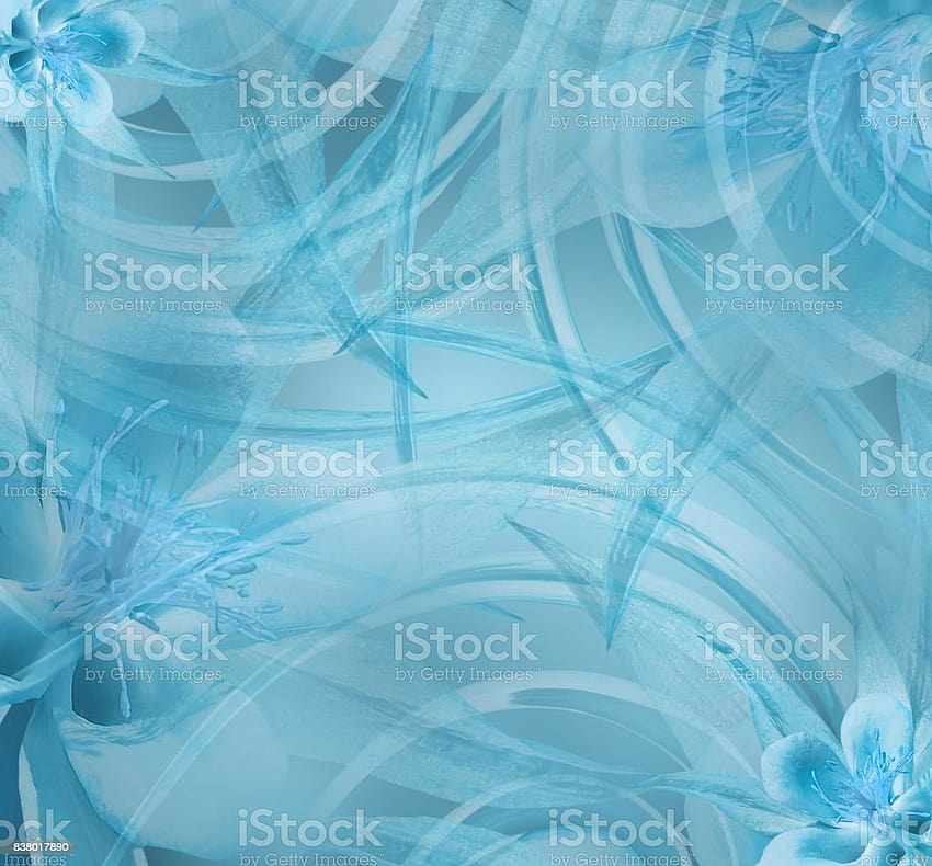Флорални тюркоазени красиви фонове от бяла тюркоазена композиция от цветя Природа, тюркоазено синьо HD тапет