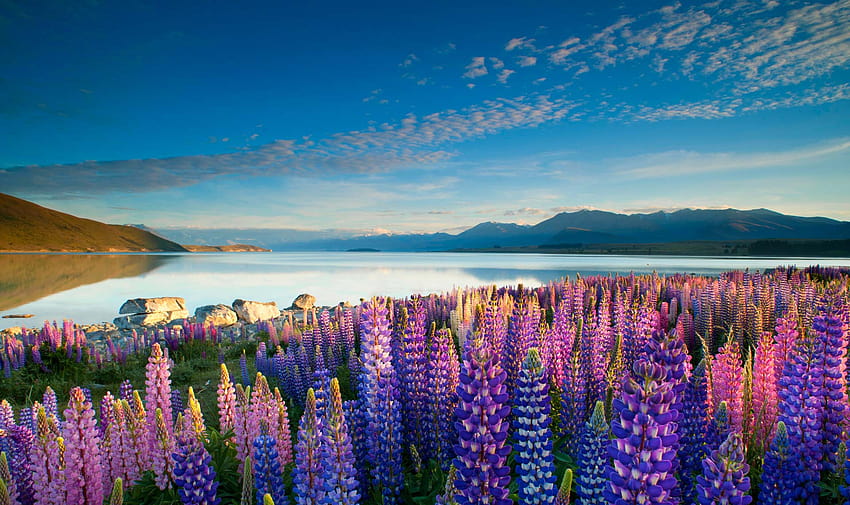 Lake Tekapo, New Zealand HD wallpaper
