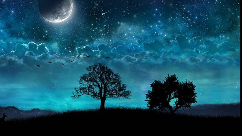 this live features a relaxing night scene HD wallpaper