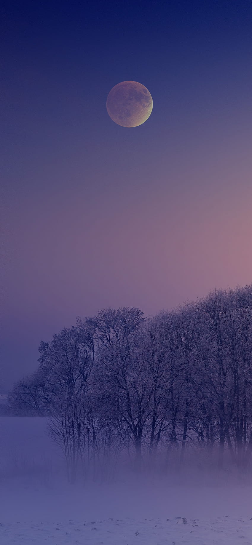 Zima, estetyka, poranek, mgła, księżyc, kraj, zimno, natura, różowa zimowa estetyka Tapeta na telefon HD