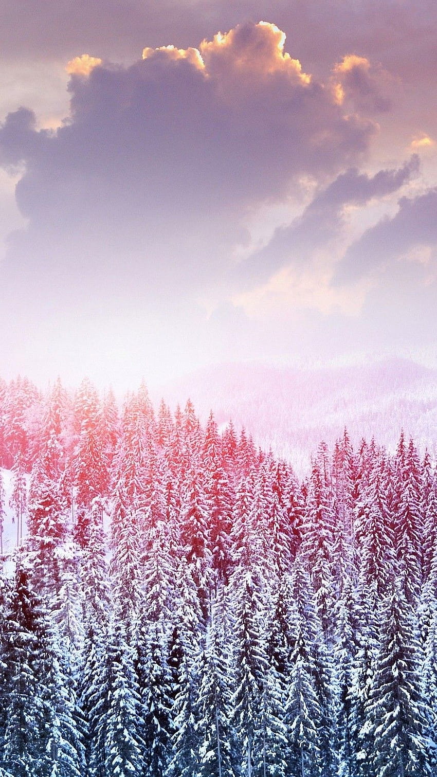 Rose Gold Winter Iphone, pink aesthetic landscape HD phone wallpaper