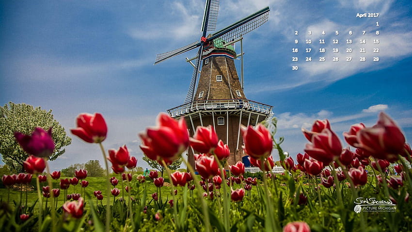 4 Dutch Windmill, spring holland HD wallpaper