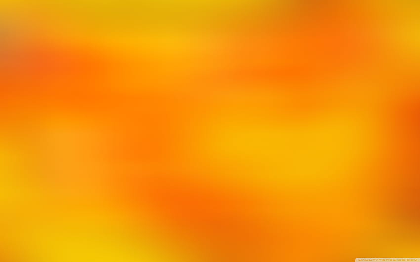 Minimalist Orange Ultra Backgrounds for U TV : Tablet : Smartphone, orange minimalist HD wallpaper