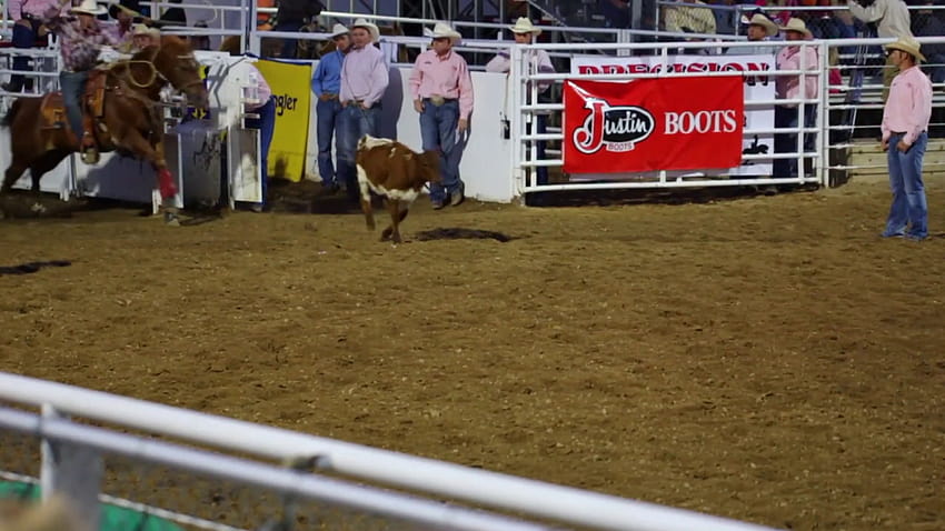 Cowboy Calf Roping at Rodeo Slow Motion Stock Video Footage HD wallpaper