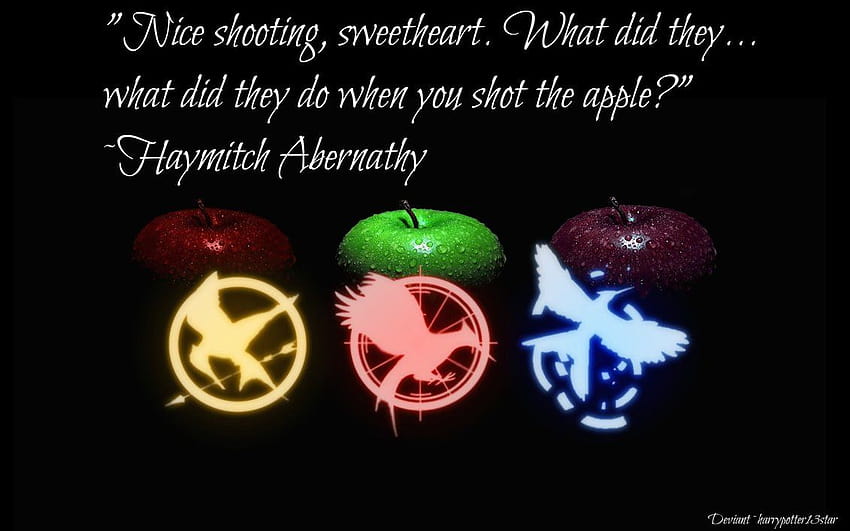 Hunger Games Background 70 pictures