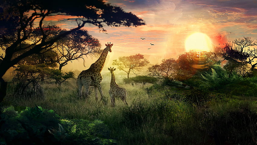 : Sonnenlicht, Landschaft, Wald, Tiere, Sonnenuntergang, Natur, DeviantArt, Zweig, Giraffen, Sonnenaufgang, Abend, Morgen, Sonne, Wildnis, Dschungel, Abenddämmerung, Baum, Herbst, Morgendämmerung, Lebensraum, natürliche Umgebung, atmosphärisches Phänomen, Computer, Herbst Giraffe HD-Hintergrundbild