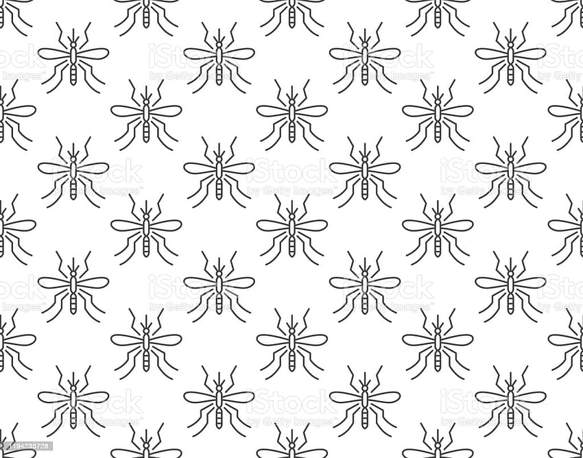 Mosquito Backgrounds Abstract Insect Seamless Pattern Pest Control With Gnat Icons Malaria Vector Illustration Black White Color Stock Illustration HD wallpaper