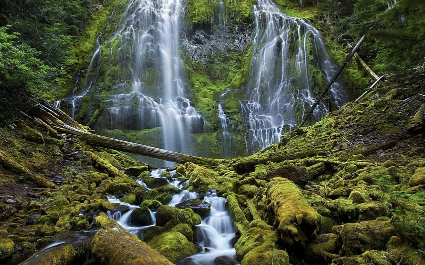 Proxy Falls Willamette National Forest Three Sisters Wilderness, jokradin waterfall thailand HD wallpaper