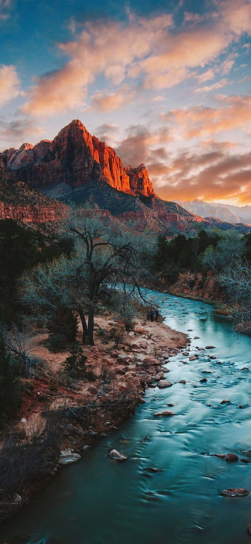 Hermoso del Parque Nacional Zion en Utah, parque natural fondo de pantalla del teléfono