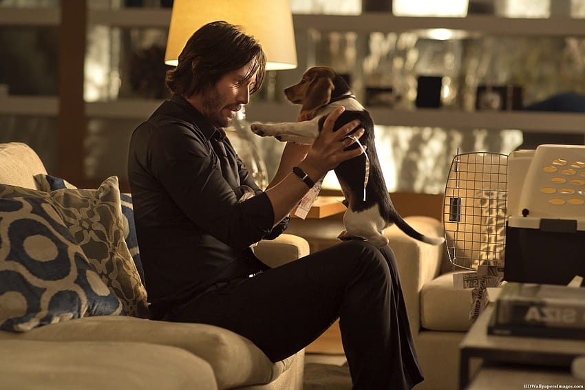 John Wick' Director Chad Stahelski on Moviemaking Hero James Cameron, john wick dog HD wallpaper