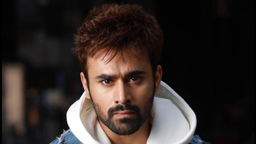After arrest, Pearl V Puri's friends and colleagues come out in his support HD wallpaper