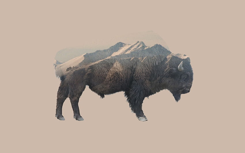 Double Exposure, Animals, Mountain, Nature, Bison / and Mobile ...