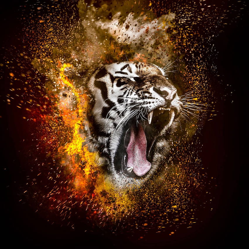 虎の咆哮 by Mr_dare_devil27 ...zedge HD電話の壁紙