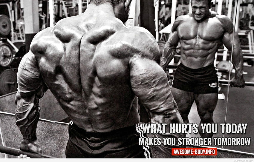 Ultimate Bodybuilding Motivation & Backgrounds, frank zane HD wallpaper