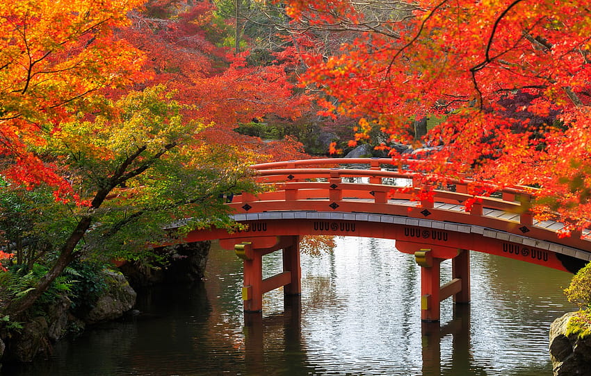 outono, árvores, ponte, lagoa, Parque, pedras, Japão, Kyoto, seção природа, outono kyoto papel de parede HD