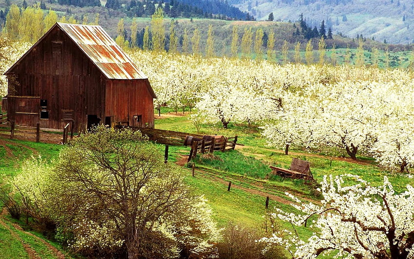 Spring Farm Scenes, spring farms HD wallpaper | Pxfuel