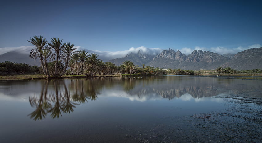 Isla de Socotra Yemen Montaña Palm Island Niebla Paisaje emblemático fondo de pantalla