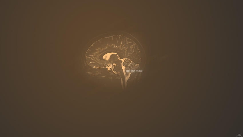 Human brain illustration, simple background, brain, human mind HD wallpaper