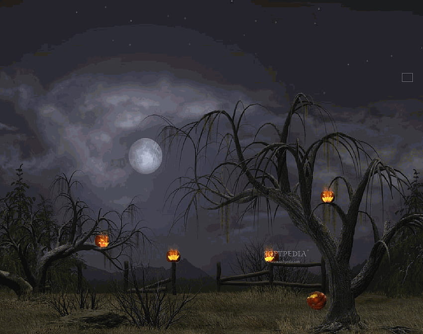 5 Full Screen Halloween, ghostly night HD wallpaper