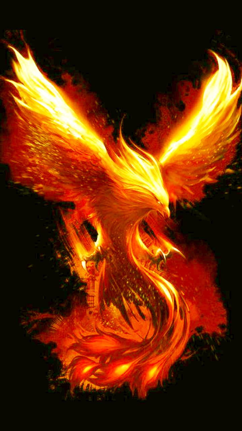 Federico Vecchini on phoenix bird, cool flaming phoenix HD phone ...
