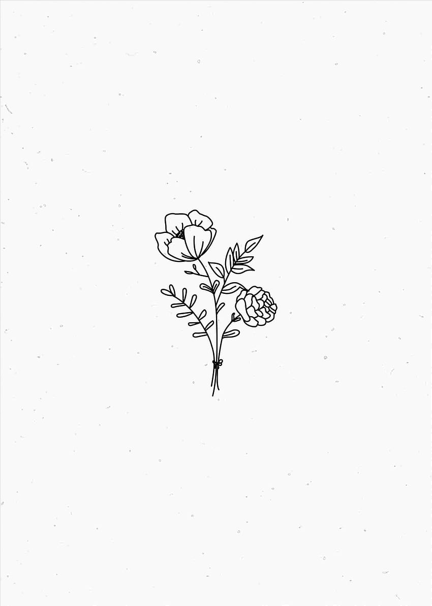 Minimalist Plant Drawing, aesthetic drawing ipad HD phone wallpaper