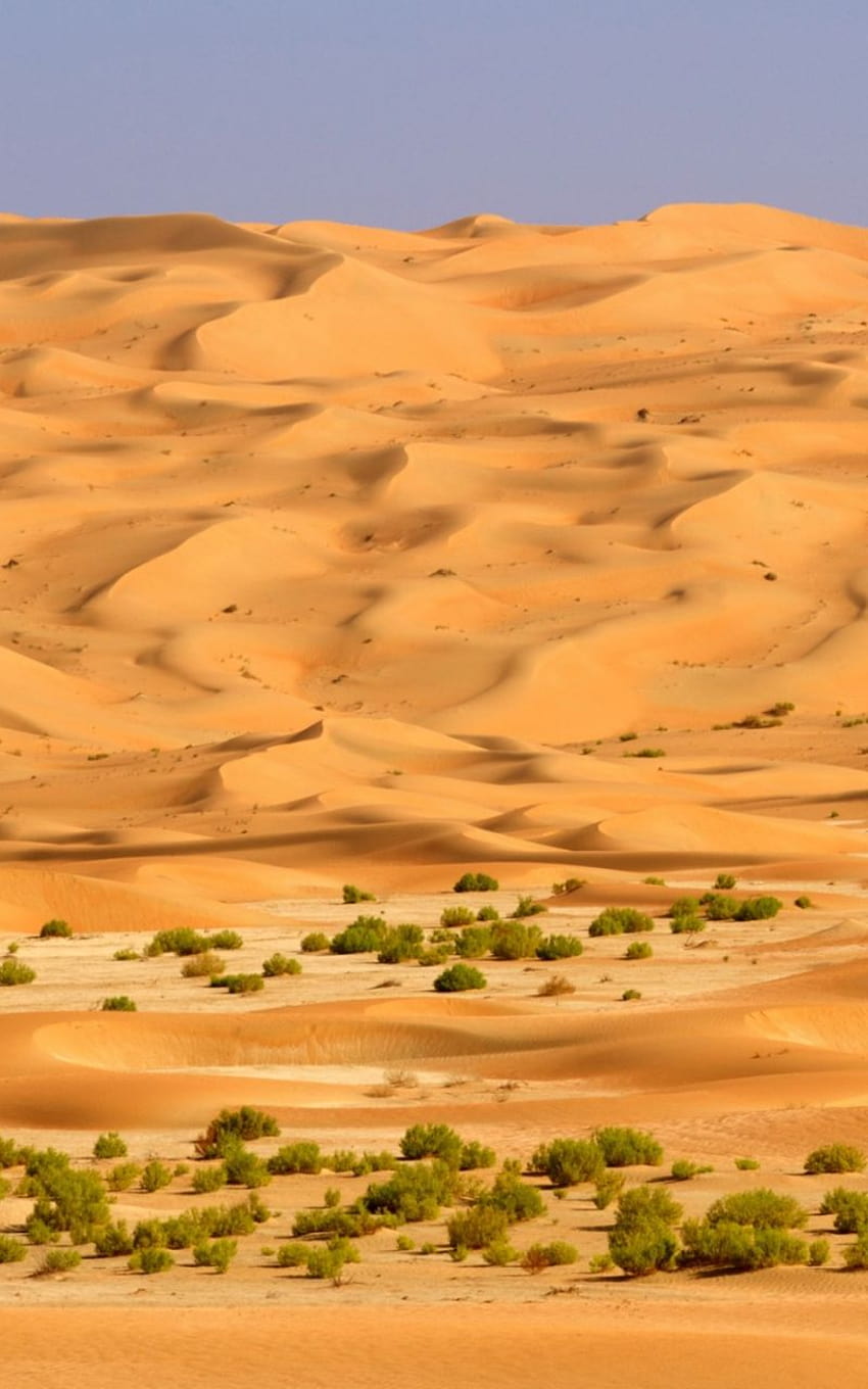 Saudi Arabia Desert 8640 13com [1920x1440] for your , Mobile & Tablet, arabian desert HD phone wallpaper