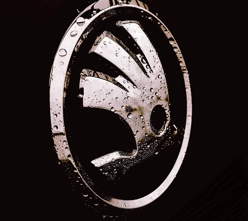 Logo Skoda par B0mby, logo Fond d'écran HD