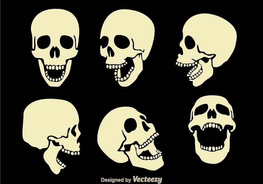 Skull Vectors, skull heads background HD wallpaper