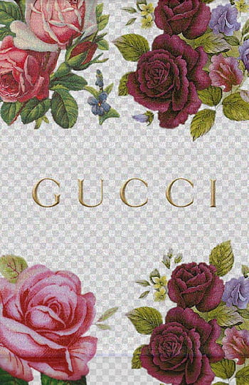 Gucci amazing background for HD wallpapers | Pxfuel