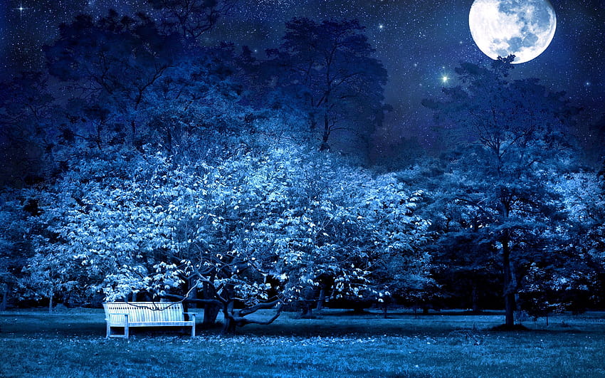 nature, park, night, moon, tree, bench, secret, nature night HD wallpaper