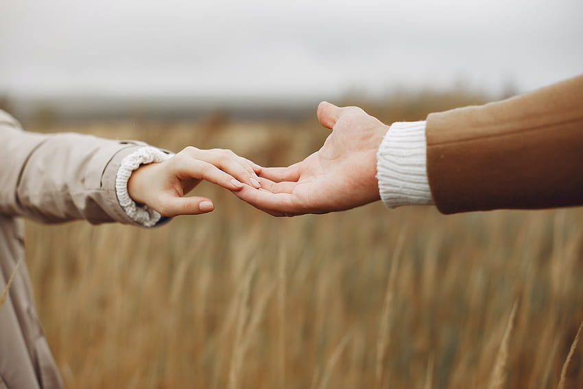 Young couple holding hands gently in field · Stock HD wallpaper