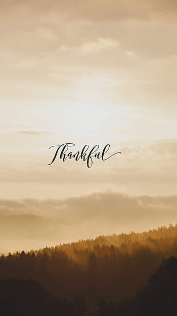 Gratitude HD wallpapers  Pxfuel