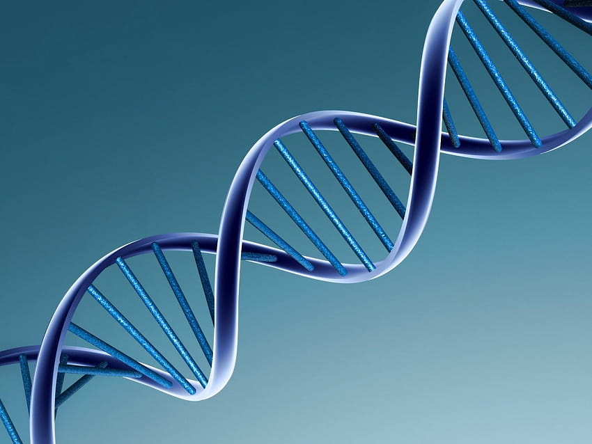 Cosa può fare il test di paternità del DNA, test del DNA Sfondo HD