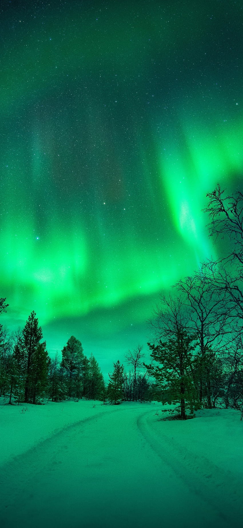 Земята Aurora Borealis, мобилно сияние HD тапет за телефон
