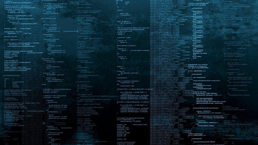 37 Programmer Code Backgrounds, programmer HD wallpaper