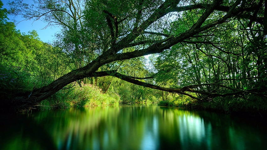 Peaceful Nature HD wallpaper | Pxfuel