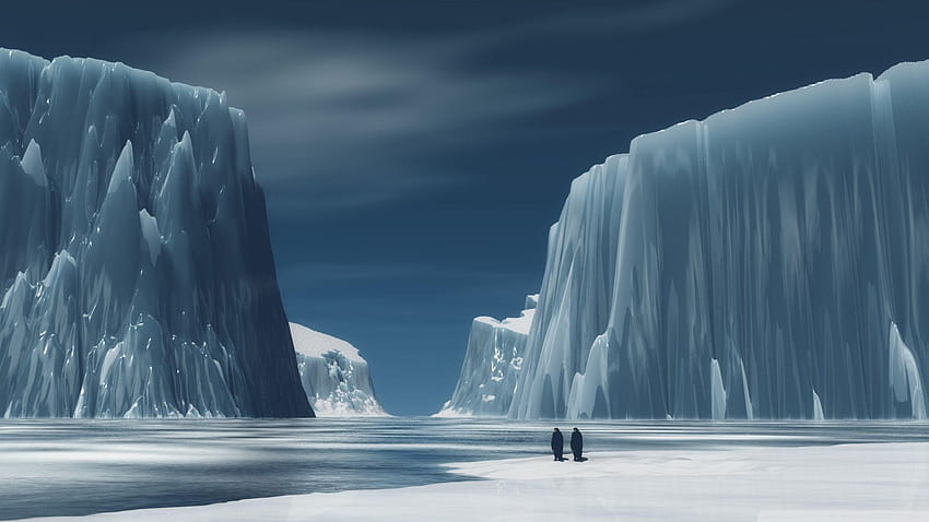 Penguins In Antarctica ❤ for Ultra, arctic tundra HD wallpaper